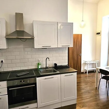Modern 2 Bedrooms Flat In The Center Apartment